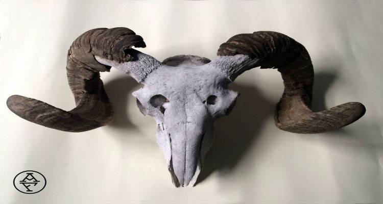 &Omicron; Alessandro Foglino έ&phi;&alpha;&gamma;&epsilon; &tau;&omicron; &pi;&iota;&omicron; &gamma;&lambda;&upsilon;&kappa;ό &pi;&epsilon;&pi;ό&nu;&iota; &tau;&eta;&sigmaf; &zeta;&omega;ή&sigmaf; &tau;&omicron;&upsilon; &sigma;&tau;&eta; &Lambda;ή&mu;&nu;&omicron;, &psi;ά&chi;&nu;&omicron;&nu;&tau;&alpha;&sigmaf; &tau;&omicron; &kappa;&rho;&alpha;&nu;ί&omicron; &epsilon;&nu;ό&sigmaf; &kappa;&alpha;&tau;&sigma;&iota;&kappa;&iota;&omicron;ύ