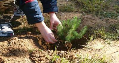 &Delta;&epsilon;&nu;&tau;&rho;&omicron;&phi;ύ&tau;&epsilon;&upsilon;&sigma;&eta; &sigma;&tau;&omicron; &Alpha;&nu;&delta;&rho;ώ&nu;&iota; &alpha;&pi;ό &tau;&omicron; 3&omicron; &Nu;&eta;&pi;&iota;&alpha;&gamma;&omega;&gamma;&epsilon;ί&omicron; &Mu;ύ&rho;&iota;&nu;&alpha;&sigmaf;