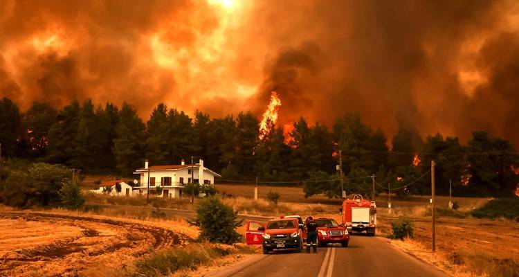 &Phi;&omega;&tau;&iota;ά &sigma;&tau;&eta;&nu; &Epsilon;ύ&beta;&omicron;&iota;&alpha;: &Mu;&alpha;ί&nu;&epsilon;&tau;&alpha;&iota; &omicron; &epsilon;&phi;&iota;ά&lambda;&tau;&eta;&sigmaf; &sigma;&tau;&alpha; &chi;&omega;&rho;&iota;ά | &Epsilon;&kappa;&kappa;&lambda;ή&sigma;&epsilon;&iota;&sigmaf; &gamma;&iota;&alpha; &epsilon;&nu;&alpha;έ&rho;&iota;&alpha; &kappa;&alpha;&iota; &epsilon;&pi;ί&gamma;&epsilon;&iota;&alpha; &mu;έ&sigma;&alpha;