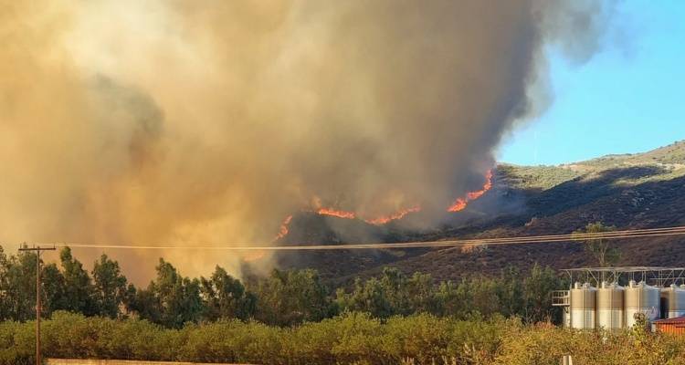 Καίει ανεξέλεγκτη η φωτιά στην Εύβοια: Οι φλόγες πέρασαν την εθνική οδό | Νέο μέτωπο στη Δύστο