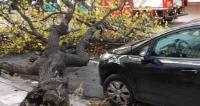 Φωτογραφία αρχείου   