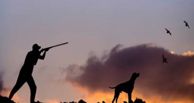 &laquo;&Alpha;&nu;&omicron;ί&gamma;&epsilon;&iota;&raquo; &tau;&omicron; &kappa;&upsilon;&nu;ή&gamma;&iota; &tau;&eta;&nu; &Kappa;&upsilon;&rho;&iota;&alpha;&kappa;ή