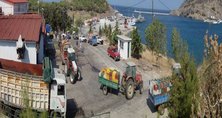 Λήμνος: Ξεκινάει η συγκέντρωση τσαμπανάρας