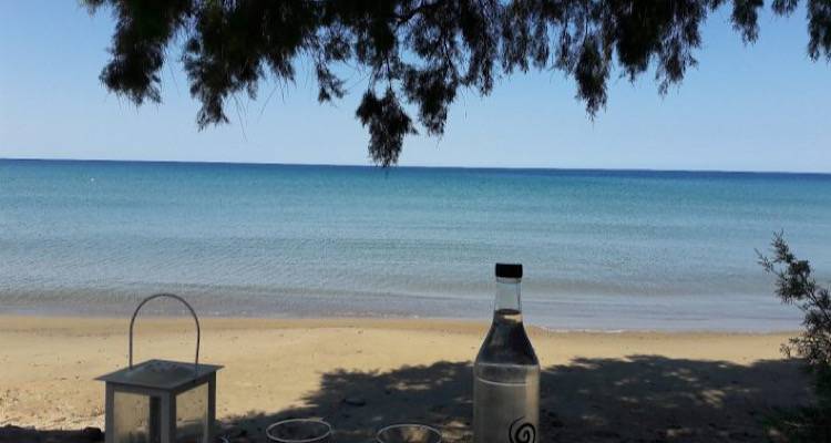 &Pi;ά&mu;&phi;&theta;&eta;&nu;&omicron;, &mu;&epsilon; &phi;&omicron;&beta;&epsilon;&rho;έ&sigmaf; &pi;&alpha;&rho;&alpha;&lambda;ί&epsilon;&sigmaf; &kappa;&alpha;&iota; &alpha;&pi;ί&sigma;&tau;&epsilon;&upsilon;&tau;&omicron; &phi;&alpha;&gamma;&eta;&tau;ό: &Tau;&omicron; &pi;&alpha;&rho;&epsilon;&xi;&eta;&gamma;&eta;&mu;έ&nu;&omicron; &nu;&eta;&sigma;ί &pi;&omicron;&upsilon; &pi;&rho;&omicron;&tau;&epsilon;ί&nu;&epsilon;&iota; &chi;&omega;&rho;ί&sigmaf; &delta;&epsilon;ύ&tau;&epsilon;&rho;&eta; &sigma;&kappa;έ&psi;&eta; &omicron; &Tau;ά&sigma;&omicron;&sigmaf; &Delta;&omicron;ύ&sigma;&eta;&sigmaf;