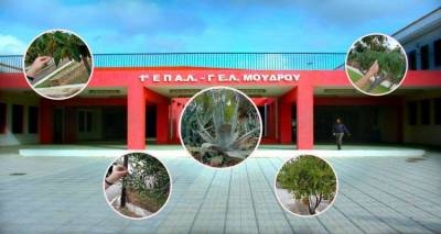 ΕΠΑΛ Μούδρου: Εκπαιδευτική δράση εξερεύνησης στη χλωρίδα του χωριού