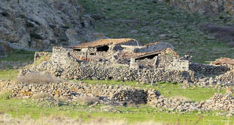 &Delta;&epsilon;ί&tau;&epsilon; &tau;&eta;&nu; &pi;&rho;ό&tau;&alpha;&sigma;&eta; &tau;&eta;&sigmaf; &Alpha;&nu;&epsilon;&mu;ό&epsilon;&sigma;&sigma;&alpha;&sigmaf; &gamma;&iota;&alpha; &tau;&alpha; &beta;&omicron;&sigma;&kappa;&omicron;&tau;ό&pi;&iota;&alpha; &tau;&eta;&sigmaf; &Lambda;ή&mu;&nu;&omicron;&upsilon;