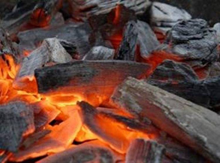 &Nu;&epsilon;&kappa;&rho;ή 13&chi;&rho;&omicron;&nu;&eta; &alpha;&pi;ό &alpha;&nu;&alpha;&theta;&upsilon;&mu;&iota;ά&sigma;&epsilon;&iota;&sigmaf; &mu;&alpha;&gamma;&kappa;&alpha;&lambda;&iota;&omicron;ύ