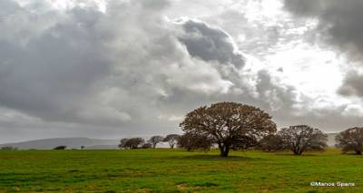 &Tau;&omicron; &delta;ά&sigma;&omicron;&sigmaf; &beta;&alpha;&lambda;&alpha;&nu;&iota;&delta;&iota;ώ&nu; &tau;&eta;&sigmaf; &Lambda;ή&mu;&nu;&omicron;&upsilon;