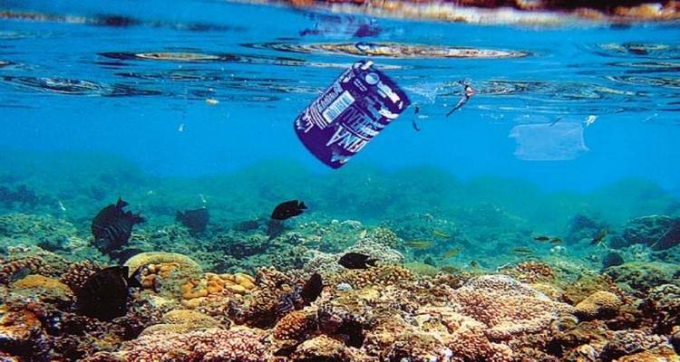 &Sigma;ή&mu;&alpha; &kappa;&iota;&nu;&delta;ύ&nu;&omicron;&upsilon; &gamma;&iota;&alpha; &tau;&iota;&sigmaf; &epsilon;&lambda;&lambda;&eta;&nu;&iota;&kappa;έ&sigmaf; &theta;ά&lambda;&alpha;&sigma;&sigma;&epsilon;&sigmaf;: &laquo;&Pi;&nu;ί&gamma;&omicron;&nu;&tau;&alpha;&iota;&raquo; &sigma;&tau;&alpha; &alpha;&pi;&omicron;&rho;&rho;ί&mu;&mu;&alpha;&tau;&alpha;
