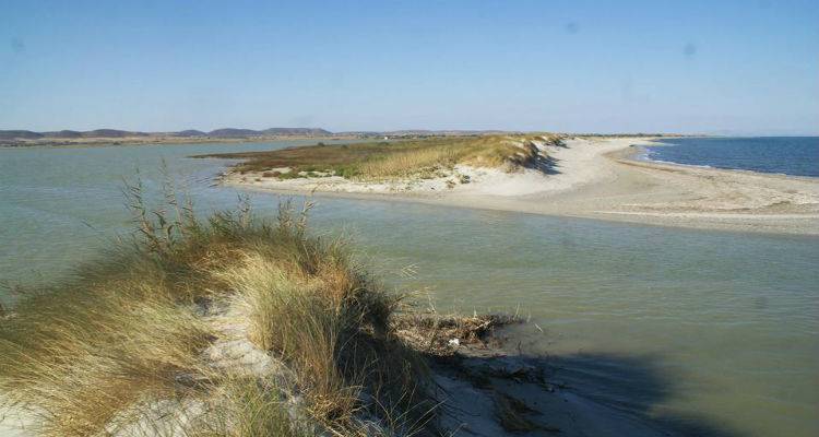 Όμιλος «Ανεμόεσσα»: Αναγκαία η αποκατάσταση της Αλυκής Λήμνου μετά την παράβαση κανόνων προστασίας