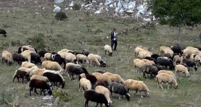 &Sigma;&tau;&omicron; &tau;&alpha;&mu;&epsilon;ί&omicron; &gamma;&iota;&alpha; &tau;&eta;&nu; Έ&kappa;&tau;&alpha;&kappa;&tau;&eta; &Epsilon;&nu;ί&sigma;&chi;&upsilon;&sigma;&eta; &omicron;&iota; &kappa;&tau;&eta;&nu;&omicron;&tau;&rho;ό&phi;&omicron;&iota;