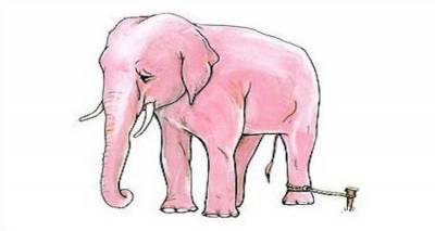 Ξαναδιαβάζοντας τον «Αλυσοδεμένο Ελέφαντα»