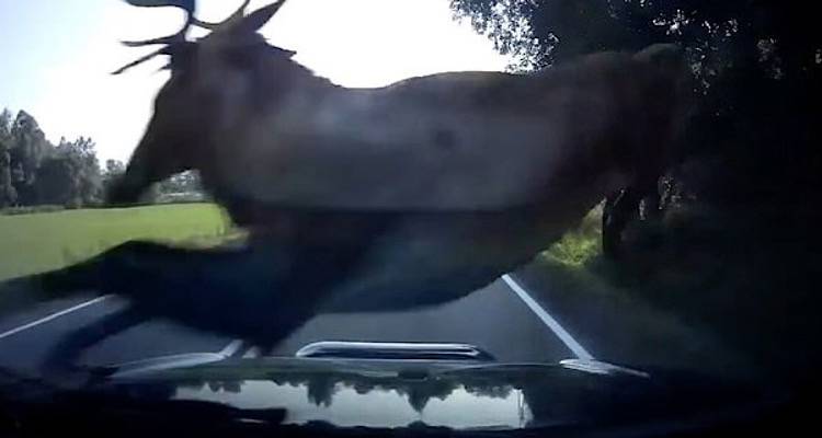 Έ&nu;&alpha; &beta;ή&mu;&alpha; &pi;&rho;&iota;&nu; &tau;&eta;&nu; &tau;&rho;&alpha;&gamma;&omega;&delta;ί&alpha; &sigma;&tau;&omicron;&nu; &delta;&rho;ό&mu;&omicron; &Epsilon;&beta;&gamma;ά&tau;&eta; - &Theta;ά&nu;&omicron;&sigmaf; | &Pi;&alpha;&rho;&alpha;&lambda;ί&gamma;&omicron; &sigma;ύ&gamma;&kappa;&rho;&omicron;&upsilon;&sigma;&eta; &delta;ύ&omicron; &omicron;&chi;&eta;&mu;ά&tau;&omega;&nu; &lambda;ό&gamma;&omega; &epsilon;&lambda;&alpha;&phi;&iota;ώ&nu;