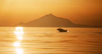 &Alpha;&upsilon;&tau;ή &epsilon;ί&nu;&alpha;&iota;, &eta; &mu;&alpha;&gamma;&epsilon;ί&alpha; &tau;&eta;&sigmaf; &Lambda;ή&mu;&nu;&omicron;&upsilon; (video)