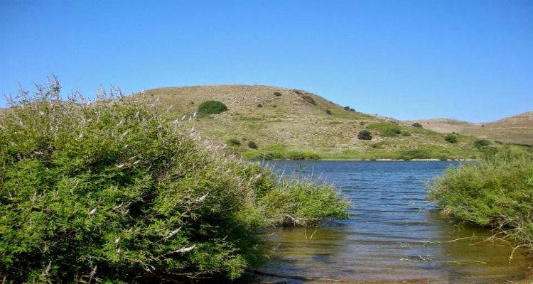 1,1 &epsilon;&kappa;&alpha;&tau;. &epsilon;&upsilon;&rho;ώ &alpha;&pi;ό &tau;&omicron; &Epsilon;.&Pi;. &tau;&eta;&sigmaf; &Pi;&epsilon;&rho;&iota;&phi;έ&rho;&epsilon;&iota;&alpha;&sigmaf; &Beta;&omicron;&rho;&epsilon;ί&omicron;&upsilon; &Alpha;&iota;&gamma;&alpha;ί&omicron;&upsilon; &gamma;&iota;&alpha; &delta;&rho;ά&sigma;&epsilon;&iota;&sigmaf; &Pi;&epsilon;&rho;&iota;&beta;ά&lambda;&lambda;&omicron;&nu;&tau;&omicron;&sigmaf;