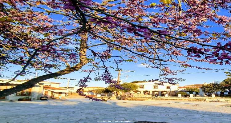 &Lambda;ή&mu;&nu;&omicron;&sigmaf;: &Lambda;&alpha;ϊ&kappa;ή &beta;&rho;&alpha;&delta;&iota;ά &sigma;&tau;&alpha; &Tau;&sigma;&iota;&mu;ά&nu;&delta;&rho;&iota;&alpha; &tau;&eta; &Delta;&epsilon;&upsilon;&tau;έ&rho;&alpha; 21 &Alpha;&upsilon;&gamma;&omicron;ύ&sigma;&tau;&omicron;&upsilon;