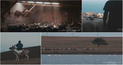 &Lambda;ή&mu;&nu;&omicron;&sigmaf;: &Kappa;&epsilon;&chi;&alpha;&gamma;&iota;ά&sigmaf; " &Omicron; ά&nu;&theta;&rho;&omega;&pi;&omicron;&sigmaf; &tau;&eta;&sigmaf; &gamma;&eta;&sigmaf;" | &Delta;&epsilon;ί&tau;&epsilon; &delta;&epsilon;ί&gamma;&mu;&alpha; &alpha;&pi;ό &tau;&omicron; &nu;&tau;&omicron;&kappa;&iota;&mu;&alpha;&nu;&tau;έ&rho;