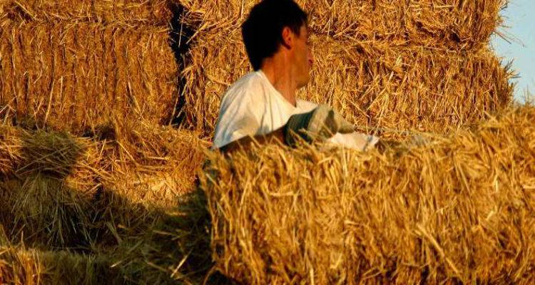 &Alpha;&gamma;&rho;&omicron;&tau;&iota;&kappa;έ&sigmaf; &epsilon;&pi;&iota;&delta;&omicron;&tau;ή&sigma;&epsilon;&iota;&sigmaf;: &Pi;&omicron;&iota;&epsilon;&sigmaf; &kappa;&alpha;&tau;ά&sigma;&chi;&omicron;&nu;&tau;&alpha;&iota; &kappa;&alpha;&iota; &pi;&omicron;&iota;&epsilon;&sigmaf; ό&chi;&iota;