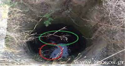 &Phi;&omega;&tau;&omicron;&gamma;&rho;&alpha;&phi;ί&alpha; &alpha;&rho;&chi;&epsilon;ί&omicron;&upsilon;   