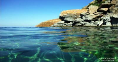 Πολύχρωμη μέδουσα στα νερά της Λήμνου προκαλεί θαυμασμό (photos)