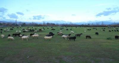 &Omicron;&delta;&eta;&gamma;ί&epsilon;&sigmaf; &pi;&rho;&omicron;&sigmaf; &nu;&alpha;&upsilon;&tau;&iota;&lambda;&lambda;&omicron;&mu;έ&nu;&omicron;&upsilon;&sigmaf; &gamma;&iota;&alpha; &tau;&omicron;&nu; &Alpha;&Tau;&Alpha;&Kappa;