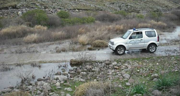 &Sigma;ύ&lambda;&lambda;&eta;&psi;&eta; &delta;&upsilon;&omicron; &kappa;&upsilon;&nu;&eta;&gamma;ώ&nu; &sigma;&tau;&eta; &Lambda;ή&mu;&nu;&omicron;