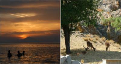 Άρωμα… Λήμνου! (photos)