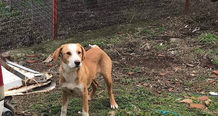 &Pi;&alpha;&lambda;&alpha;&iota;&omicron;&lambda;ό&gamma;&omicron;&sigmaf; &Kappa;&upsilon;&rho;&iota;&alpha;&zeta;ή&sigmaf;: &laquo;&Sigma;ή&mu;&epsilon;&rho;&alpha; &mu;&epsilon; &pi;&epsilon;&rho;ί&mu;&epsilon;&nu;&epsilon; έ&nu;&alpha;&sigmaf; &epsilon;&pi;&iota;&sigma;&kappa;έ&pi;&tau;&eta;&sigmaf;. &Kappa;ά&pi;&omicron;&iota;&omicron;&sigmaf; &delta;&epsilon;&nu; &tau;&omicron;&nu; ή&theta;&epsilon;&lambda;&epsilon; &kappa;&alpha;&iota; &tau;&omicron;&nu; &epsilon;&gamma;&kappa;&alpha;&tau;έ&lambda;&epsilon;&iota;&psi;&epsilon; &sigma;&epsilon; &mu;έ&nu;&alpha;&raquo;