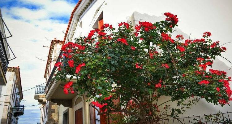 «Μπλε»: Έκθεση από τη φωτογραφική ομάδα Λήμνου