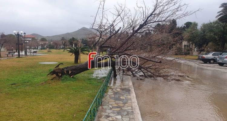 Δήμος Λήμνου: «Άμεσες ενέργειες για την αντιμετώπιση των συνεπειών της θεομηνίας»
