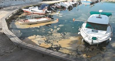 &Theta;&alpha; έ&rho;&theta;&epsilon;&iota; &sigma;&tau;&alpha; &epsilon;&lambda;&lambda;&eta;&nu;&iota;&kappa;ά &nu;&epsilon;&rho;ά &eta; &beta;&lambda;έ&nu;&nu;&alpha; &tau;&eta;&sigmaf; &Pi;&rho;&omicron;&pi;&omicron;&nu;&tau;ί&delta;&alpha;&sigmaf;;