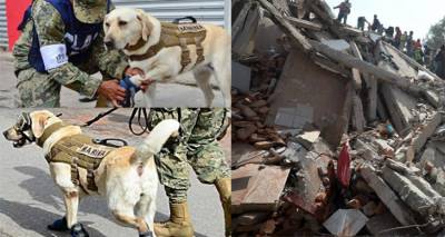 Frida: &Tau;&omicron; &lambda;&alpha;&mu;&pi;&rho;&alpha;&nu;&tau;ό&rho; &pi;&omicron;&upsilon; &sigma;ώ&zeta;&epsilon;&iota; &zeta;&omega;έ&sigmaf; &alpha;&pi;ό &tau;&alpha; &sigma;&upsilon;&nu;&tau;&rho;ί&mu;&mu;&iota;&alpha; &sigma;&tau;&omicron; &Mu;&epsilon;&xi;&iota;&kappa;ό