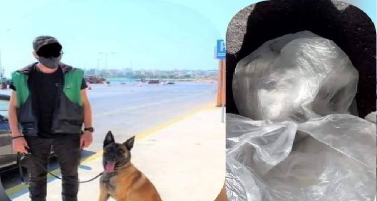 &Lambda;ή&mu;&nu;&omicron;&sigmaf;: &Sigma;&upsilon;&nu;&epsilon;&lambda;ή&phi;&theta;&eta; &mu;&epsilon; &tau;&eta;&nu; &beta;&omicron;ή&theta;&epsilon;&iota;&alpha; &tau;&omicron;&upsilon; "&Rho;ά&nu;&tau;&omicron;" ά&nu;&delta;&rho;&alpha;&sigmaf; &mu;&epsilon; 67 &gamma;&rho;&alpha;&mu;&mu;ά&rho;&iota;&alpha; &kappa;&omicron;&kappa;&alpha;ΐ&nu;&eta;&sigmaf;