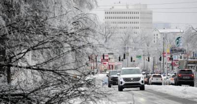&Alpha;&rho;&kappa;&tau;&iota;&kappa;ό &psi;ύ&chi;&omicron;&sigmaf; &sigma;&alpha;&rho;ώ&nu;&epsilon;&iota; &tau;&iota;&sigmaf; &Eta;&Pi;&Alpha;: &Iota;&sigma;&tau;&omicron;&rho;&iota;&kappa;ή &chi;&iota;&omicron;&nu;&omicron;&kappa;&alpha;&tau;&alpha;&iota;&gamma;ί&delta;&alpha; &mu;&epsilon; 7 &nu;&epsilon;&kappa;&rho;&omicron;ύ&sigmaf;, &alpha;&kappa;&upsilon;&rho;ώ&sigma;&epsilon;&iota;&sigmaf; &pi;&tau;ή&sigma;&epsilon;&omega;&nu; &kappa;&alpha;&iota; 1 &epsilon;&kappa;&alpha;&tau;. &sigma;&pi;ί&tau;&iota;&alpha; &chi;&omega;&rho;ί&sigmaf; &rho;&epsilon;ύ&mu;&alpha;
