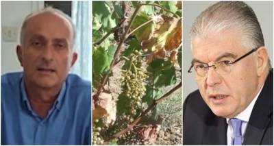 &Alpha;&mu;&pi;έ&lambda;&iota;&alpha; &Lambda;ή&mu;&nu;&omicron;&upsilon;: &Phi;ό&beta;&omicron;&iota; &gamma;&iota;&alpha; &tau;&epsilon;&rho;ά&sigma;&tau;&iota;&alpha; &zeta;&eta;&mu;&iota;ά &sigma;&tau;&eta;&nu; &pi;&alpha;&rho;&alpha;&gamma;&omega;&gamma;ή | &Nu;έ&alpha; &epsilon;&pi;&iota;&tau;&omicron;&lambda;ή &sigma;&tau;&omicron;&nu; &Epsilon;&Lambda;&Gamma;&Alpha;