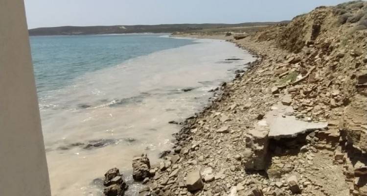 Το πλαγκτόν του καλοκαιριού μείωσε τον αριθμό των ψαριών και εκτίναξε την τιμή τους (audio)
