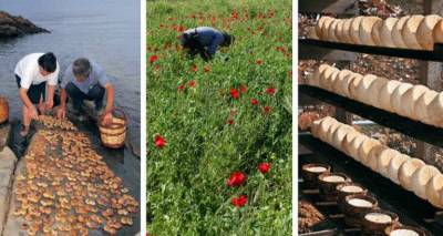 &Pi;&rho;&alpha;&gamma;&mu;&alpha;&tau;&omicron;&pi;&omicron;&iota;ή&theta;&eta;&kappa;&epsilon; &eta; &kappa;&alpha;&lambda;&omicron;&kappa;&alpha;&iota;&rho;&iota;&nu;ή &epsilon;&kappa;&delta;ή&lambda;&omega;&sigma;&eta; &tau;&eta;&sigmaf; &laquo;&Alpha;&nu;&epsilon;&mu;ό&epsilon;&sigma;&sigma;&alpha;&sigmaf;&raquo; &sigma;&tau;&omicron; &pi;&lambda;&alpha;ί&sigma;&iota;&omicron; &tau;&omicron;&upsilon; &pi;&rho;&omicron;&gamma;&rho;ά&mu;&mu;&alpha;&tau;&omicron;&sigmaf; &laquo;Terra Lemnia&raquo;