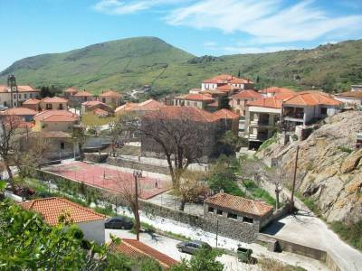 Ερώτηση Ζερδελή για τον υποβιβασμό των Δημοτικών του Θάνους και του Κάσπακα