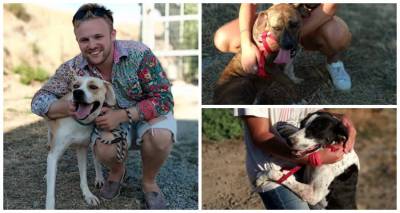 &Lambda;ή&mu;&nu;&omicron;&sigmaf;: Ά&gamma;&gamma;&lambda;&omicron;&iota; &sigma;&pi;&omicron;&upsilon;&delta;&alpha;&sigma;&tau;έ&sigmaf; &zeta;ή&tau;&eta;&sigma;&alpha;&nu; &nu;&alpha; &beta;&gamma;ά&lambda;&omicron;&upsilon;&nu; &beta;ό&lambda;&tau;&alpha; &tau;&alpha; &sigma;&kappa;&upsilon;&lambda;&iota;ά &tau;&omicron;&upsilon; &kappa;&alpha;&tau;&alpha;&phi;&upsilon;&gamma;ί&omicron;&upsilon; (photos)