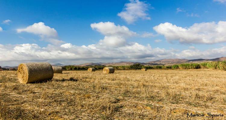 &Mu;&iota;&kappa;&rho;ή ά&nu;&omicron;&delta;&omicron;&sigmaf; &tau;&eta;&sigmaf; &theta;&epsilon;&rho;&mu;&omicron;&kappa;&rho;&alpha;&sigma;ί&alpha;&sigmaf; &sigma;ή&mu;&epsilon;&rho;&alpha; | &Pi;&omicron;ύ &theta;&alpha; &beta;&rho;έ&xi;&epsilon;&iota;