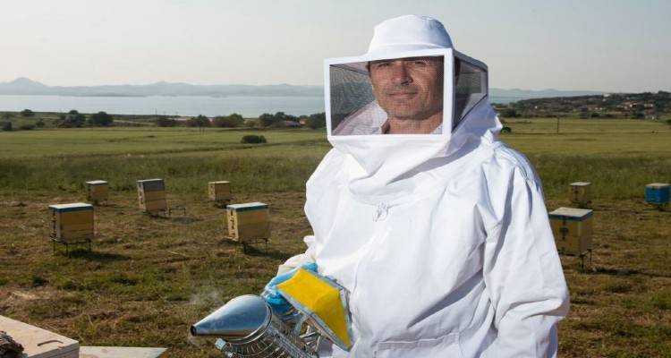 Συνεργασία της «Honey Hasapis» με εργαστήριο του Τμήματος Επιστήμης Τροφίμων και Διατροφής  του Πανεπιστημίου Αιγαίου για μελέτη της αντιμικροβιακής δράσης των μελιών της.