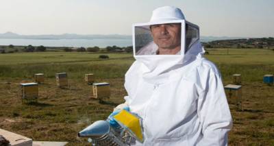 &Sigma;&upsilon;&nu;&epsilon;&rho;&gamma;&alpha;&sigma;ί&alpha; &tau;&eta;&sigmaf; &laquo;Honey Hasapis&raquo; &mu;&epsilon; &epsilon;&rho;&gamma;&alpha;&sigma;&tau;ή&rho;&iota;&omicron; &tau;&omicron;&upsilon; &Tau;&mu;ή&mu;&alpha;&tau;&omicron;&sigmaf; &Epsilon;&pi;&iota;&sigma;&tau;ή&mu;&eta;&sigmaf; &Tau;&rho;&omicron;&phi;ί&mu;&omega;&nu; &kappa;&alpha;&iota; &Delta;&iota;&alpha;&tau;&rho;&omicron;&phi;ή&sigmaf;  &tau;&omicron;&upsilon; &Pi;&alpha;&nu;&epsilon;&pi;&iota;&sigma;&tau;&eta;&mu;ί&omicron;&upsilon; &Alpha;&iota;&gamma;&alpha;ί&omicron;&upsilon; &gamma;&iota;&alpha; &mu;&epsilon;&lambda;έ&tau;&eta; &tau;&eta;&sigmaf; &alpha;&nu;&tau;&iota;&mu;&iota;&kappa;&rho;&omicron;&beta;&iota;&alpha;&kappa;ή&sigmaf; &delta;&rho;ά&sigma;&eta;&sigmaf; &tau;&omega;&nu; &mu;&epsilon;&lambda;&iota;ώ&nu; &tau;&eta;&sigmaf;.