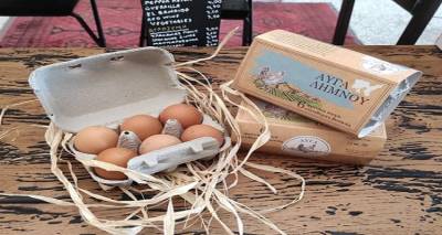 &Tau;&omicron; &Kappa;&omicron;&iota;&nu;&omega;&nu;&iota;&kappa;ό &Pi;&alpha;&nu;&tau;&omicron;&pi;&omega;&lambda;&epsilon;ί&omicron; &Delta;ή&mu;&omicron;&upsilon; &Lambda;ή&mu;&nu;&omicron;&upsilon; &epsilon;&upsilon;&chi;&alpha;&rho;&iota;&sigma;&tau;&epsilon;ί &tau;&omicron; &laquo;&Alpha;&gamma;&rho;ό&kappa;&tau;&eta;&mu;&alpha; &Mu;&alpha;&nu;&omega;&lambda;&iota;ά&raquo;