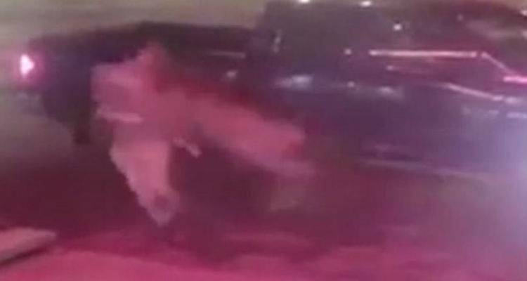 &Beta;&gamma;ή&kappa;&epsilon; &alpha;&pi;ό &tau;&omicron; &alpha;&upsilon;&tau;&omicron;&kappa;ί&nu;&eta;&tau;ό &tau;&omicron;&upsilon; &kappa;&alpha;&iota; &tau;&omicron;&nu; &pi;&alpha;&rho;έ&sigma;&upsilon;&rho;&epsilon;... &epsilon;&lambda;ά&phi;&iota;! (video)
