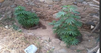 &Lambda;ή&mu;&nu;&omicron;&sigmaf;: &Sigma;&upsilon;&nu;&epsilon;&lambda;ή&phi;&theta;&eta; ά&nu;&tau;&rho;&alpha;&sigmaf; &tau;&eta;&nu; ώ&rho;&alpha; &pi;&omicron;&upsilon; &pi;ό&tau;&iota;&zeta;&epsilon; &delta;&epsilon;&nu;&delta;&rho;ύ&lambda;&lambda;&iota;&alpha; &kappa;ά&nu;&nu;&alpha;&beta;&eta;&sigmaf;