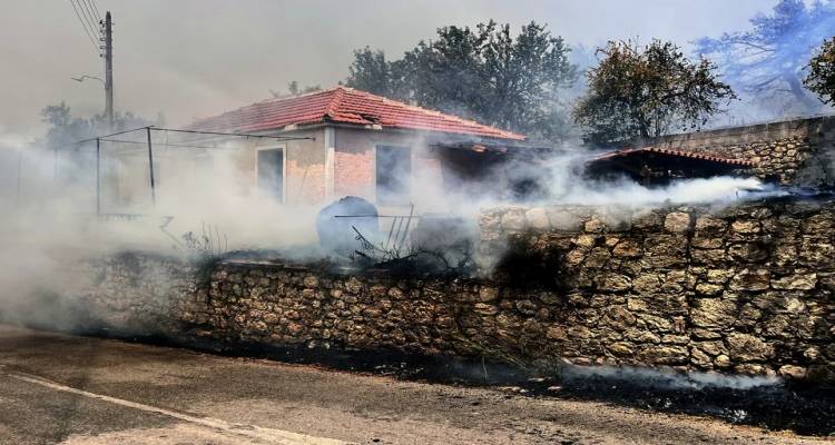 &Mu;&alpha;ί&nu;&omicron;&nu;&tau;&alpha;&iota; &omicron;&iota; &mu;&epsilon;&gamma;ά&lambda;&epsilon;&sigmaf; &phi;&omega;&tau;&iota;έ&sigmaf; &sigma;&epsilon; &Alpha;&chi;&alpha;ΐ&alpha; &kappa;&alpha;&iota; &Zeta;ά&kappa;&upsilon;&nu;&theta;&omicron;, &epsilon;&kappa;&kappa;&epsilon;&nu;ώ&theta;&eta;&kappa;&alpha;&nu; &omicron;&iota;&kappa;&iota;&sigma;&mu;&omicron;ί | &Pi;ύ&rho;&iota;&nu;&alpha; &mu;έ&tau;&omega;&pi;&alpha; &kappa;&alpha;&iota; &sigma;&epsilon; &Chi;ί&omicron;, &Pi;&rho;έ&beta;&epsilon;&zeta;&alpha;, &Beta;ό&nu;&iota;&tau;&sigma;&alpha;
