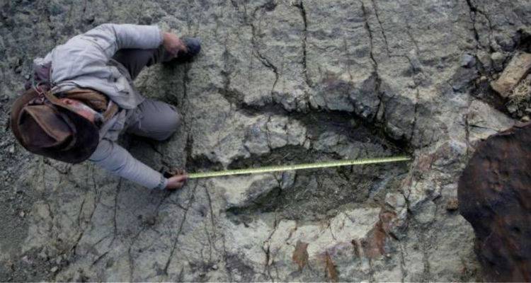 &Beta;&rho;&epsilon;&tau;&alpha;&nu;ί&alpha;: &Alpha;&nu;&alpha;&kappa;&alpha;&lambda;ύ&phi;&theta;&eta;&kappa;&alpha;&nu; 85 &kappa;&alpha;&lambda;&omicron;&delta;&iota;&alpha;&tau;&eta;&rho;&eta;&mu;έ&nu;&epsilon;&sigmaf; &pi;&alpha;&tau;&eta;&mu;&alpha;&sigma;&iota;έ&sigmaf; &delta;&epsilon;&iota;&nu;&omicron;&sigma;&alpha;ύ&rho;&omega;&nu; &eta;&lambda;&iota;&kappa;ί&alpha;&sigmaf; &tau;&omicron;&upsilon;&lambda;ά&chi;&iota;&sigma;&tau;&omicron;&nu; 100 &epsilon;&kappa;&alpha;&tau;&omicron;&mu;&mu;&upsilon;&rho;ί&omega;&nu; &epsilon;&tau;ώ&nu;