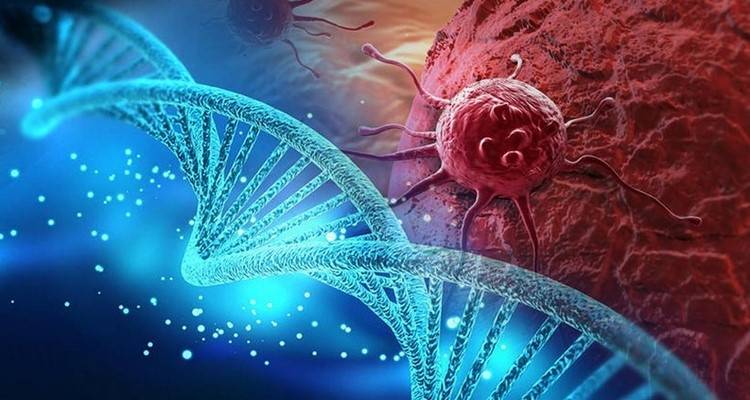 Ελπίδες από νέα θεραπεία για δύο μορφές καρκίνου