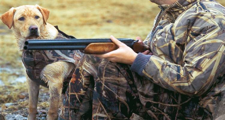 &Lambda;ή&mu;&nu;&omicron;&sigmaf;: &Alpha;&upsilon;&tau;ό&sigmaf; &epsilon;ί&nu;&alpha;&iota; &omicron; &chi;ά&rho;&tau;&eta;&sigmaf; &kappa;&alpha;&tau;&alpha;&phi;&upsilon;&gamma;ί&omega;&nu; ά&gamma;&rho;&iota;&alpha;&sigmaf; &zeta;&omega;ή&sigmaf; &kappa;&alpha;&iota; &omicron; &pi;ί&nu;&alpha;&kappa;&alpha;&sigmaf; &mu;&epsilon; &tau;&alpha; &theta;&eta;&rho;&epsilon;ύ&sigma;&iota;&mu;&alpha; &epsilon;ί&delta;&eta; &kappa;&upsilon;&nu;&eta;&gamma;&epsilon;&tau;&iota;&kappa;ή&sigmaf; &pi;&epsilon;&rho;&iota;ό&delta;&omicron;&upsilon; 2017-18