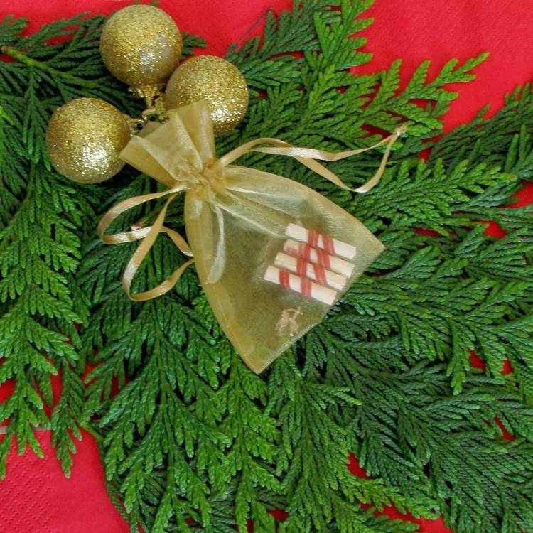 «Ό,τι θέλω για τα Χριστούγεννα» εκδήλωση από το Λύκειο Ελληνίδων Λήμνου